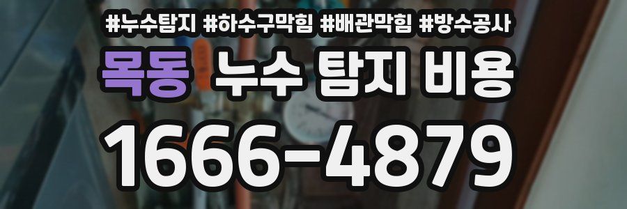 목동 누수 탐지 비용