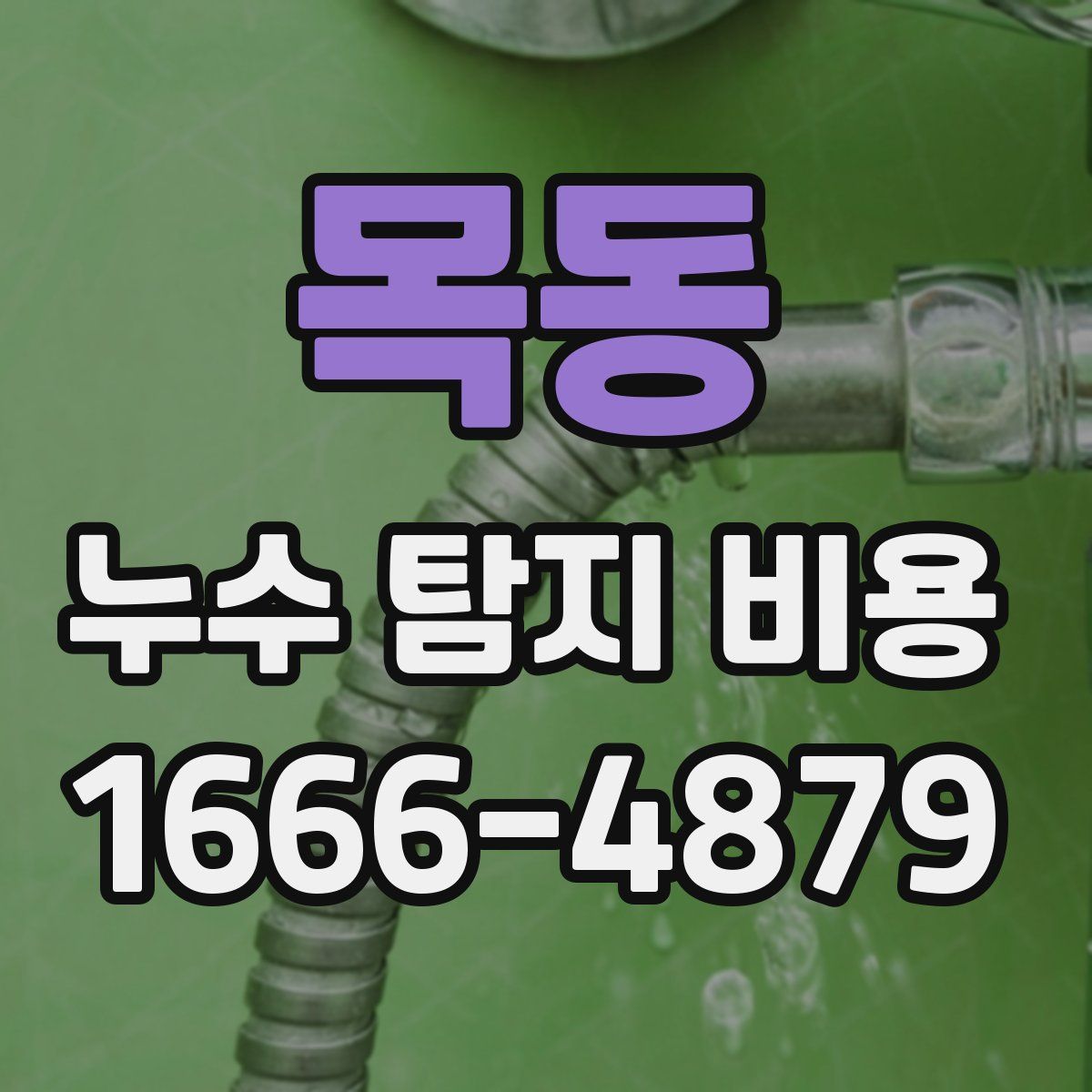 목동 누수 탐지 비용