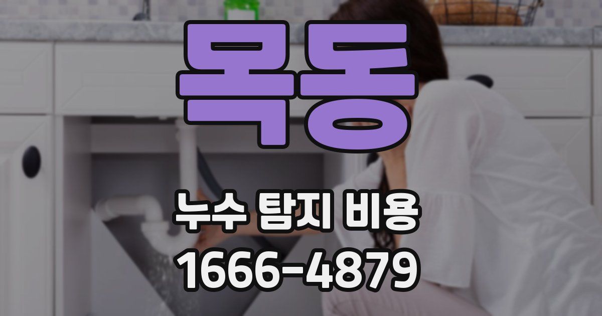 목동 누수 탐지 비용