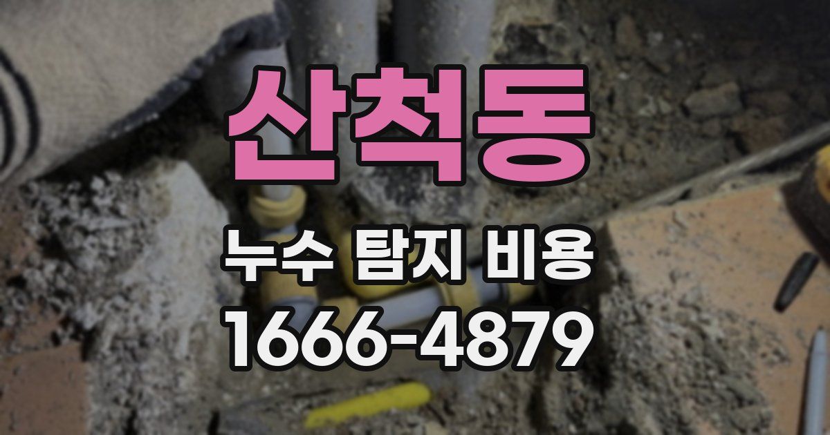 산척동 누수 탐지 비용