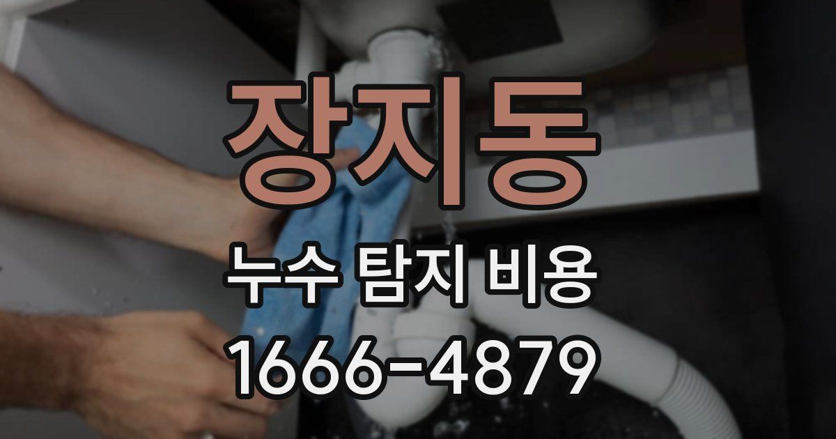 장지동 누수 탐지 비용