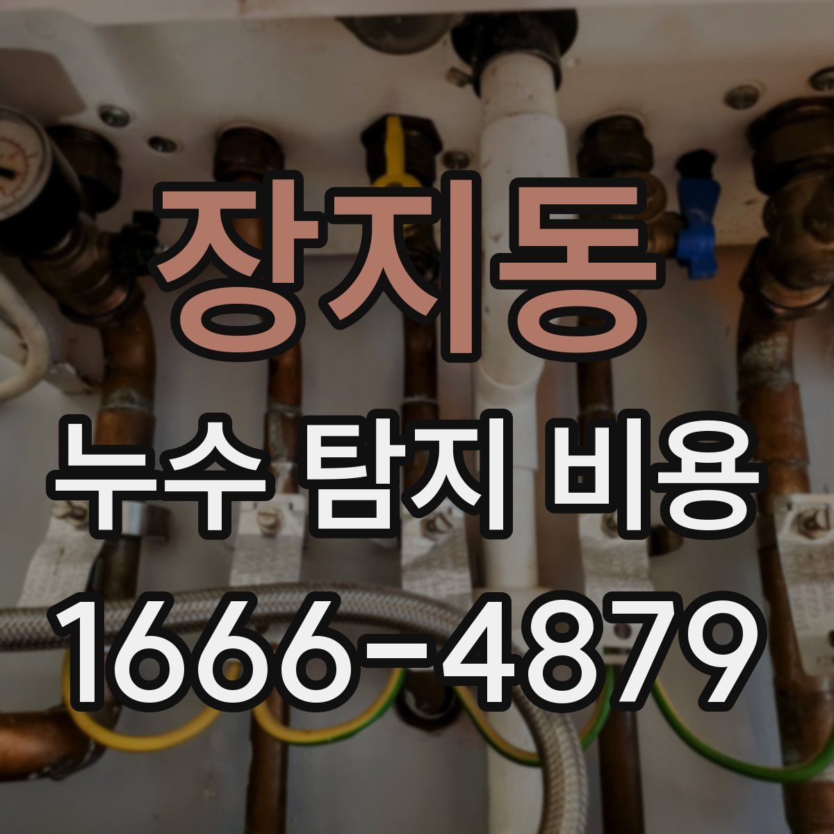 장지동 누수 탐지 비용