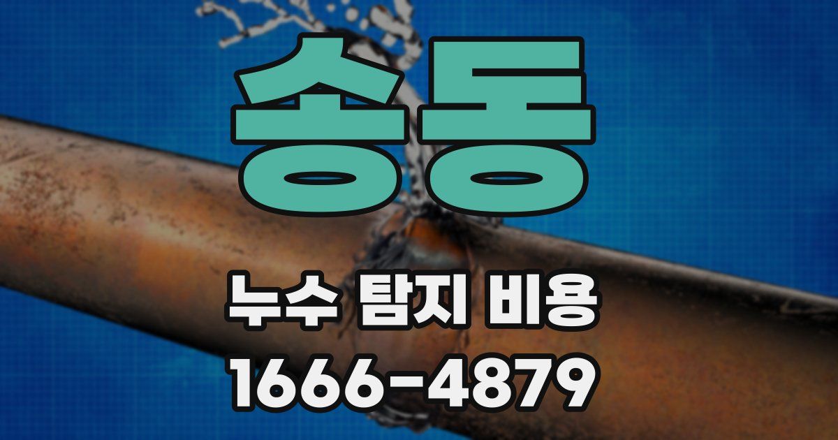송동 누수 탐지 비용