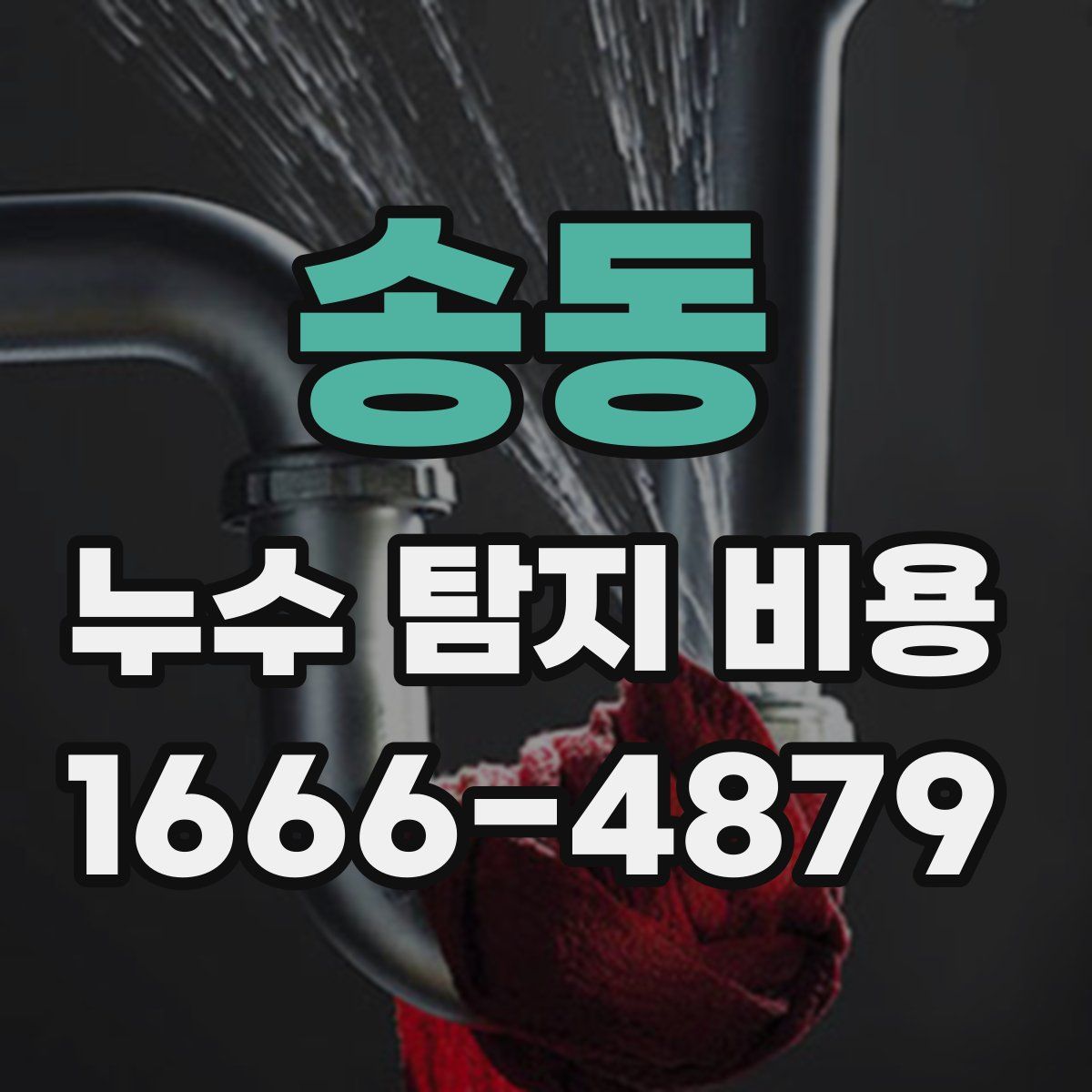 송동 누수 탐지 비용