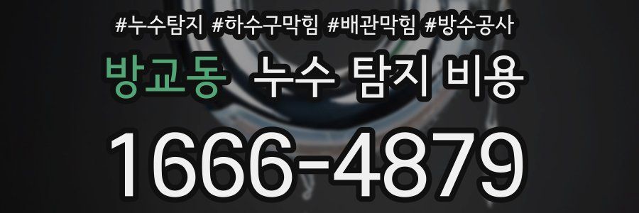 방교동 누수 탐지 비용