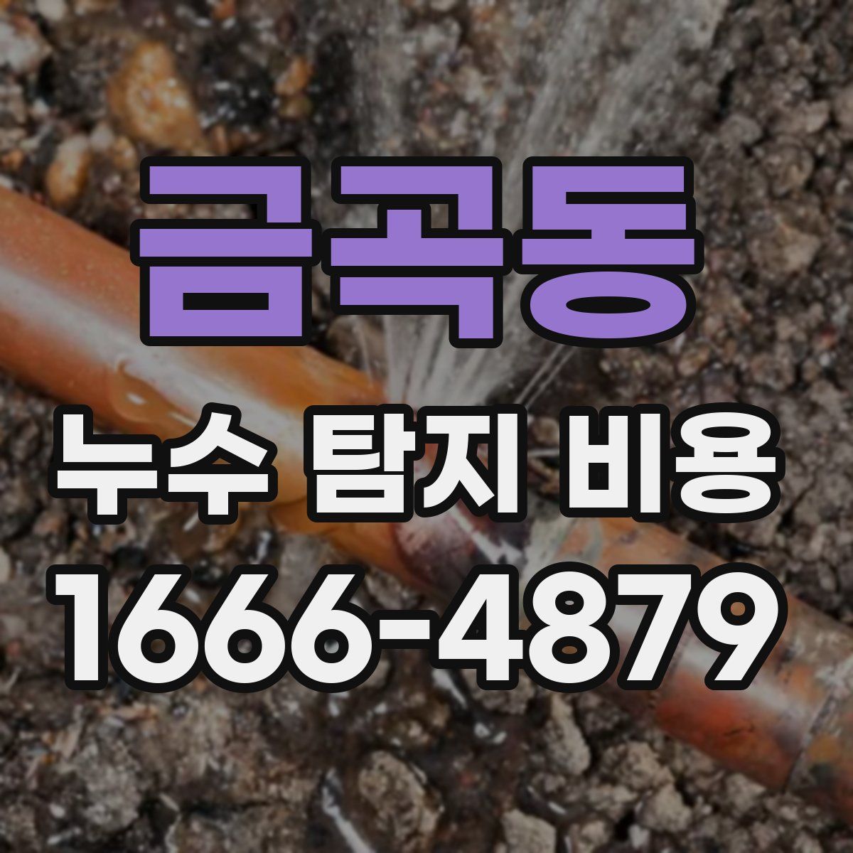 금곡동 누수 탐지 비용