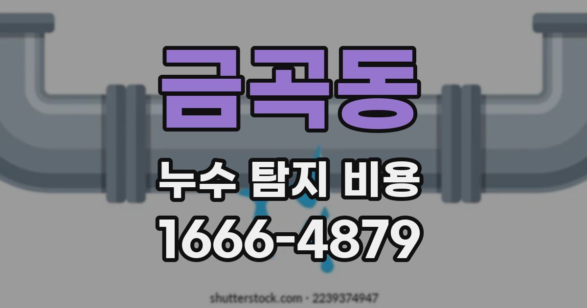 금곡동 누수 탐지 비용