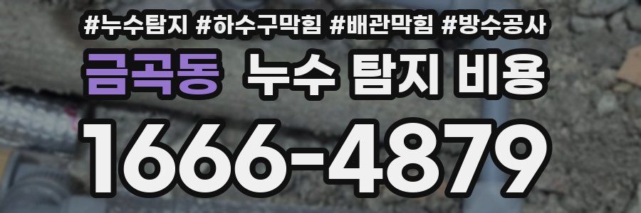 금곡동 누수 탐지 비용