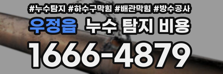 우정읍 누수 탐지 비용