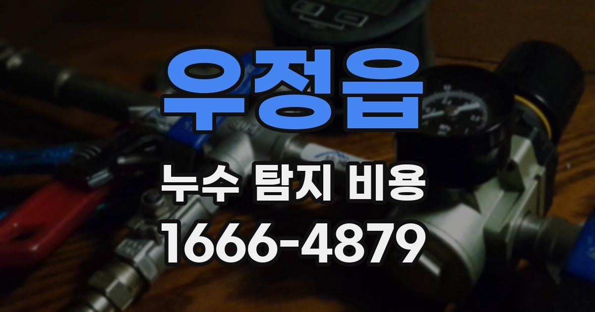 우정읍 누수 탐지 비용