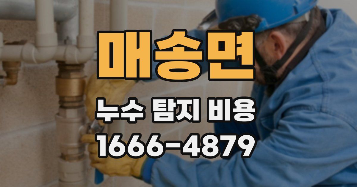 매송면 누수 탐지 비용