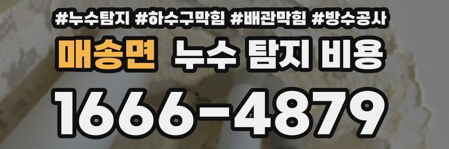 매송면 누수 탐지 비용