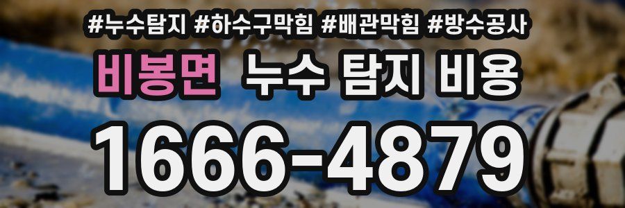 비봉면 누수 탐지 비용