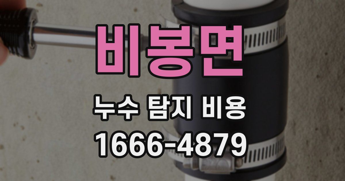 비봉면 누수 탐지 비용