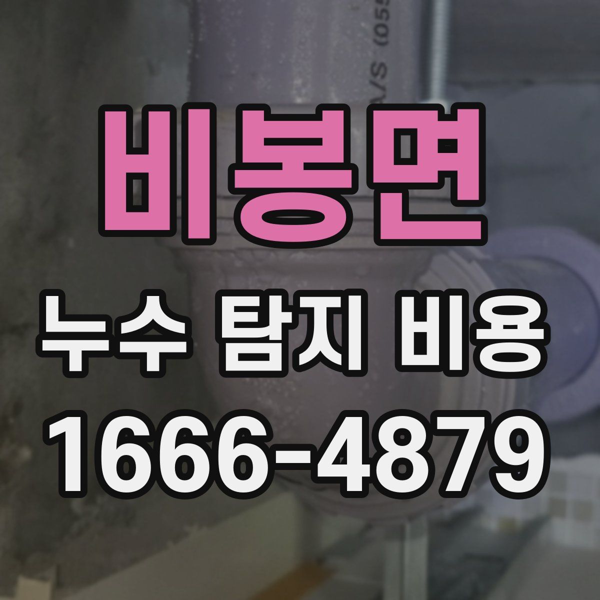 비봉면 누수 탐지 비용