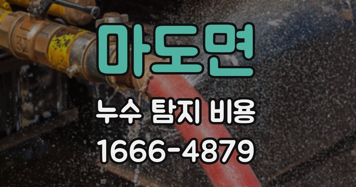 마도면 누수 탐지 비용