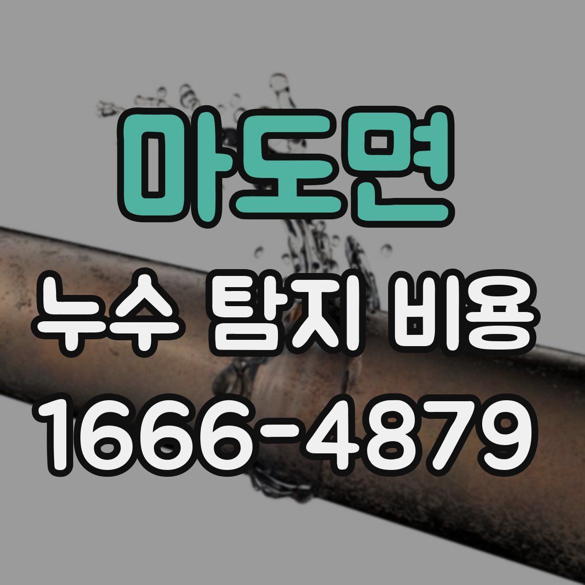마도면 누수 탐지 비용