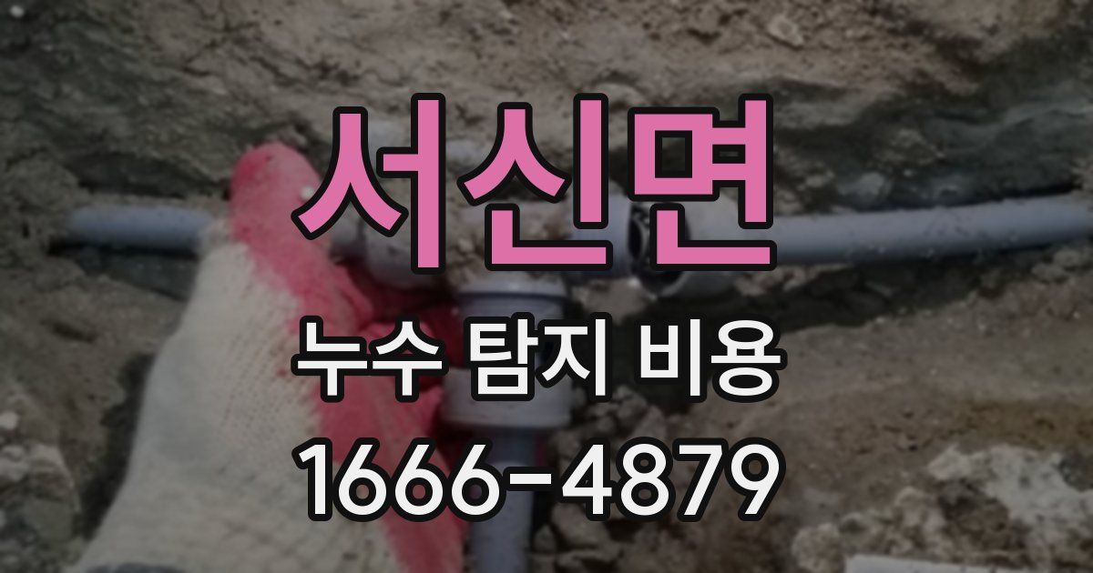 서신면 누수 탐지 비용
