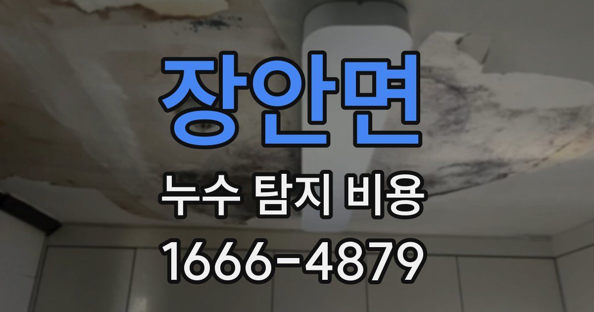 장안면 누수 탐지 비용
