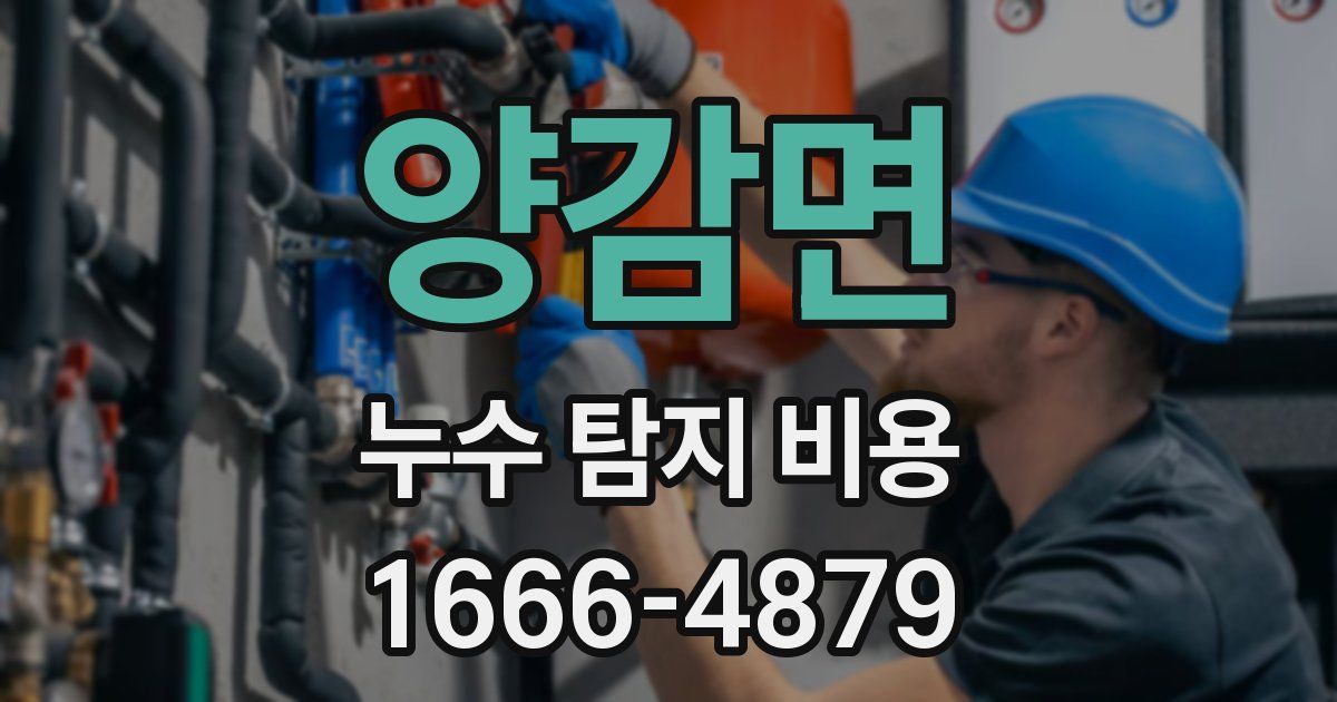 양감면 누수 탐지 비용