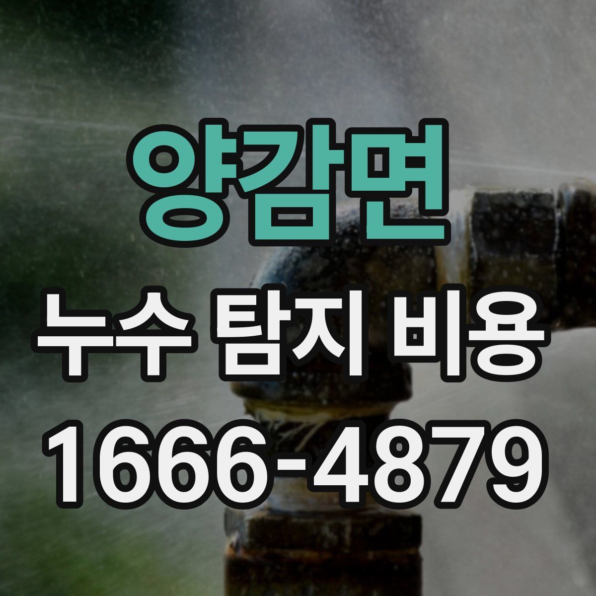 양감면 누수 탐지 비용