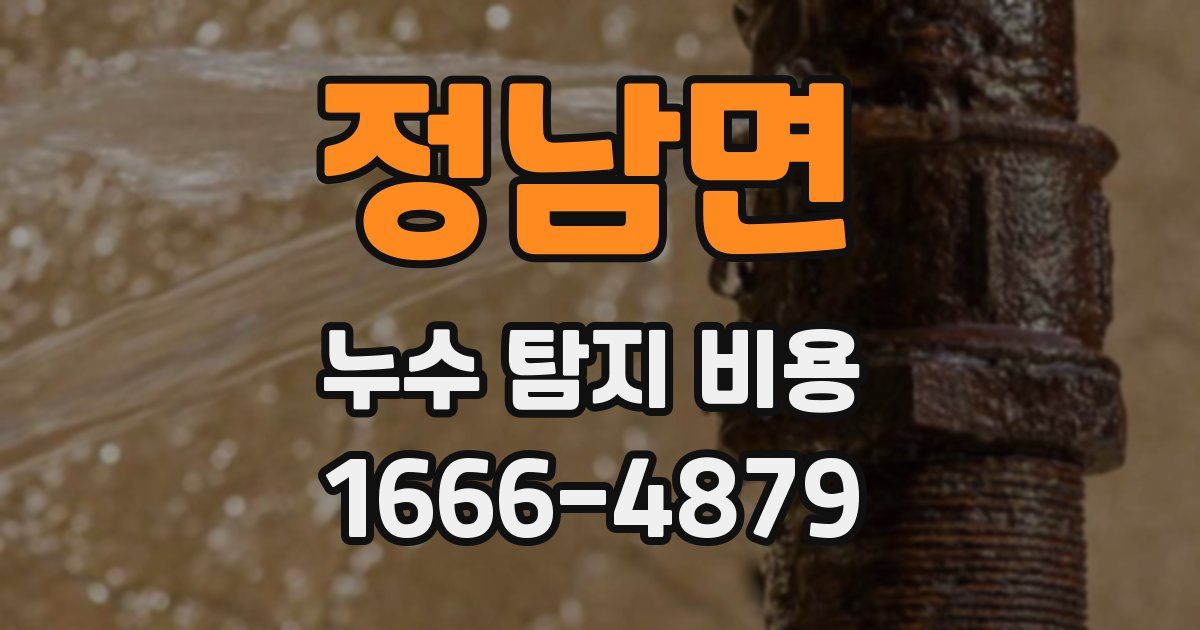 정남면 누수 탐지 비용