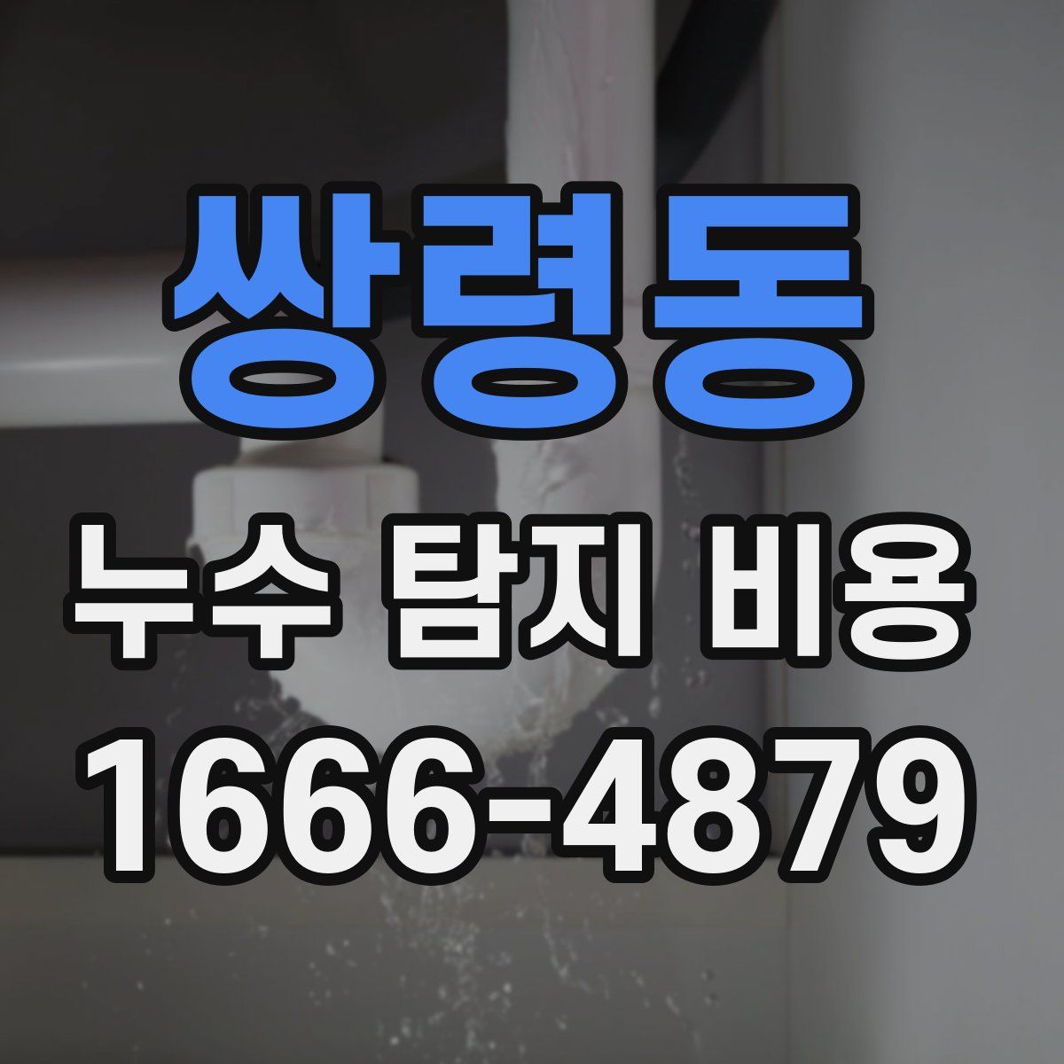 쌍령동 누수 탐지 비용