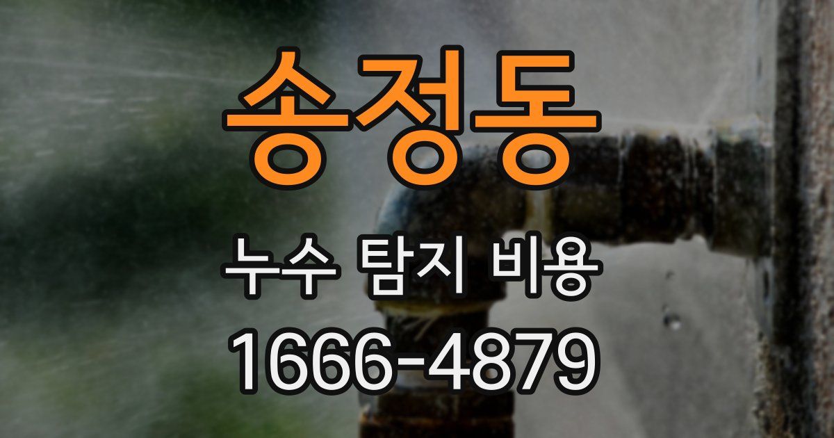 송정동 누수 탐지 비용