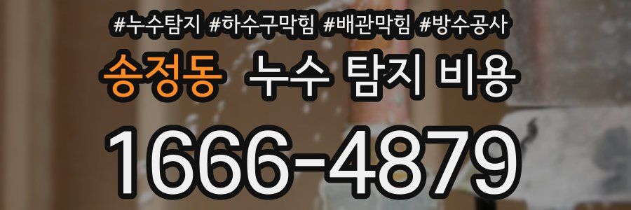 송정동 누수 탐지 비용