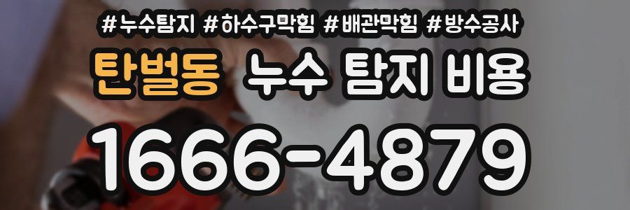 탄벌동 누수 탐지 비용