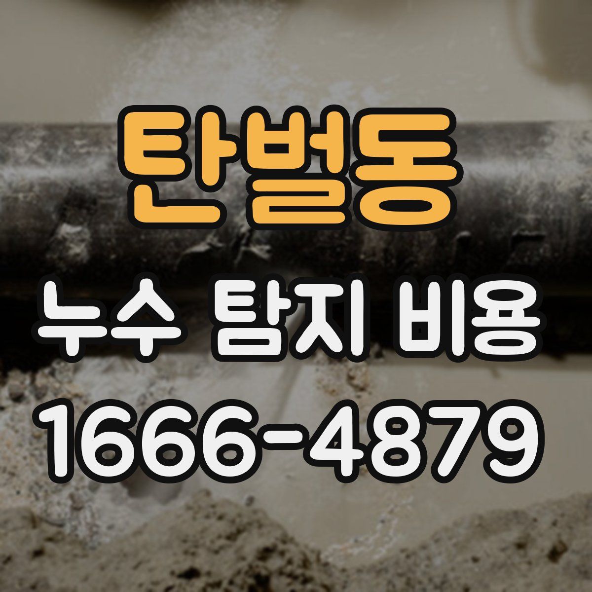 탄벌동 누수 탐지 비용