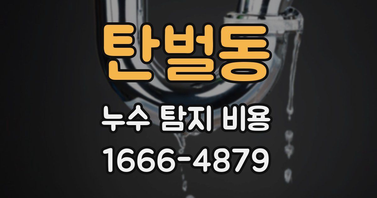 탄벌동 누수 탐지 비용