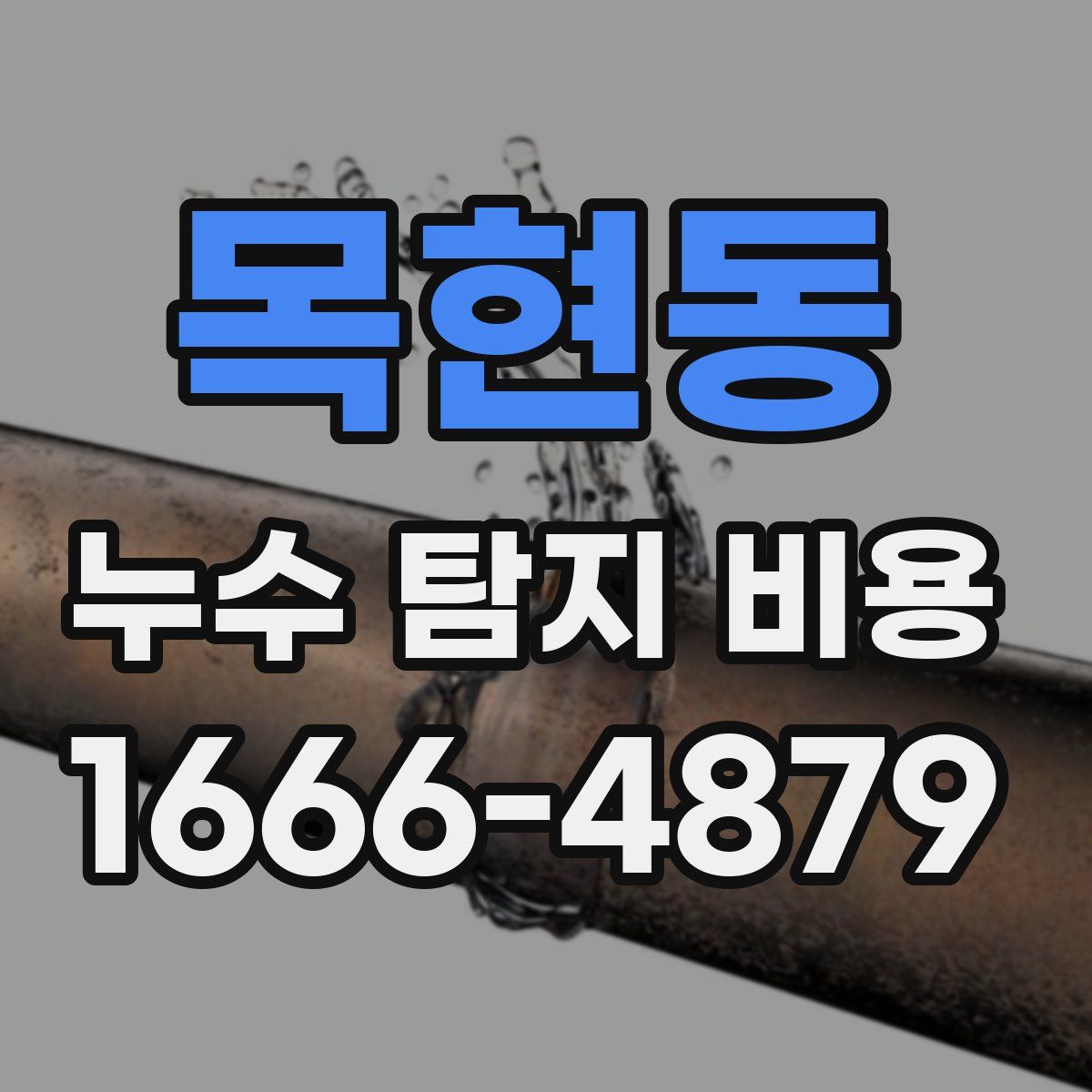 목현동 누수 탐지 비용