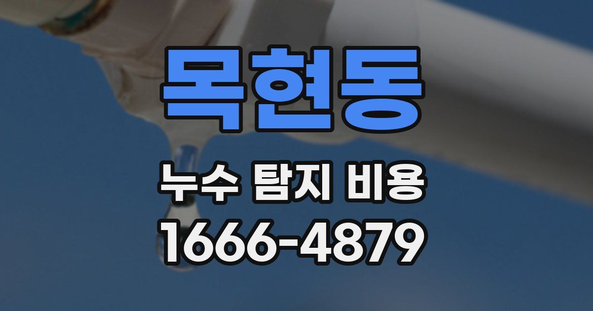 목현동 누수 탐지 비용