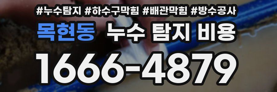 목현동 누수 탐지 비용