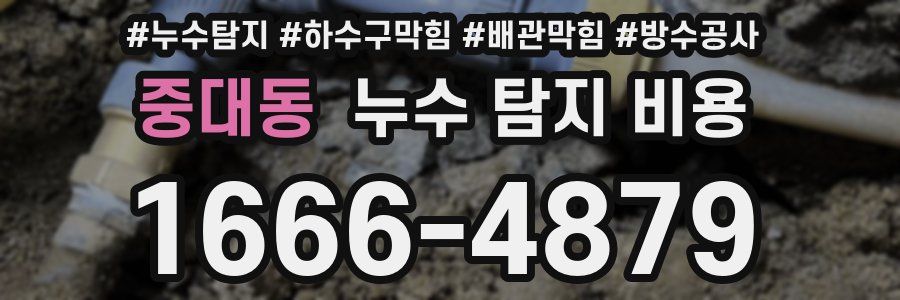 중대동 누수 탐지 비용