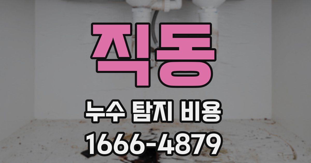 직동 누수 탐지 비용