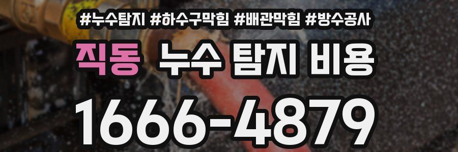 직동 누수 탐지 비용