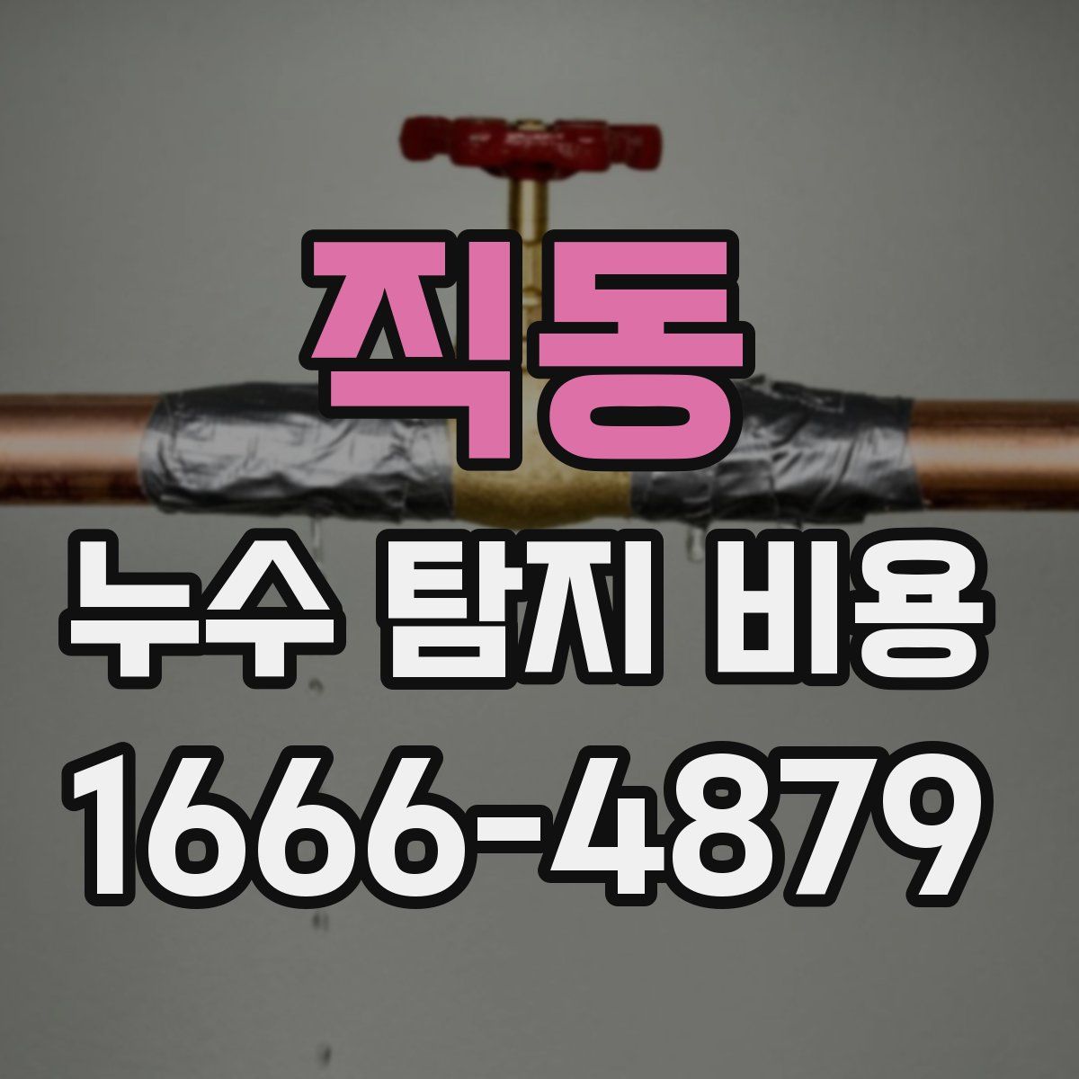 직동 누수 탐지 비용