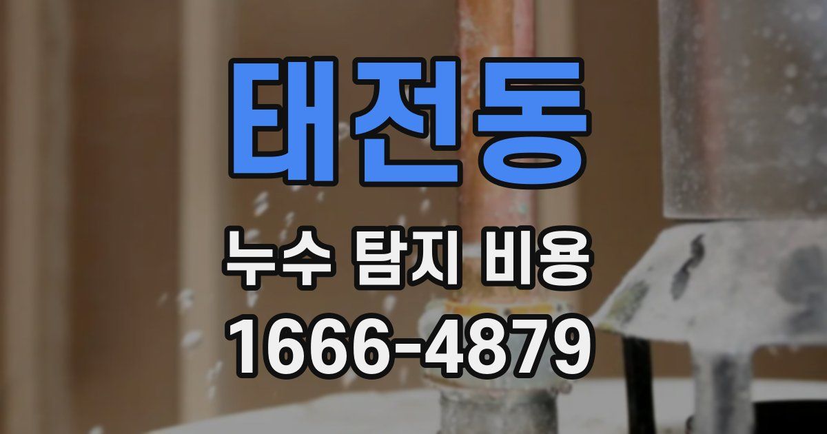 태전동 누수 탐지 비용