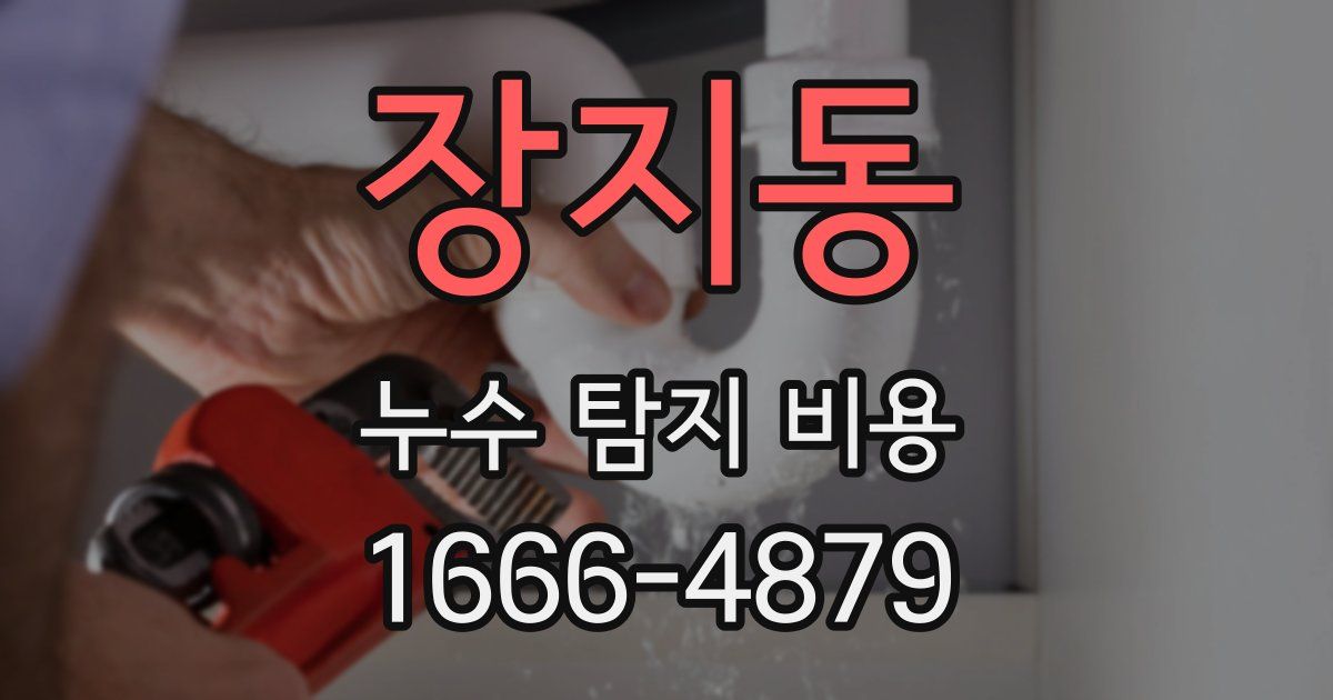 장지동 누수 탐지 비용