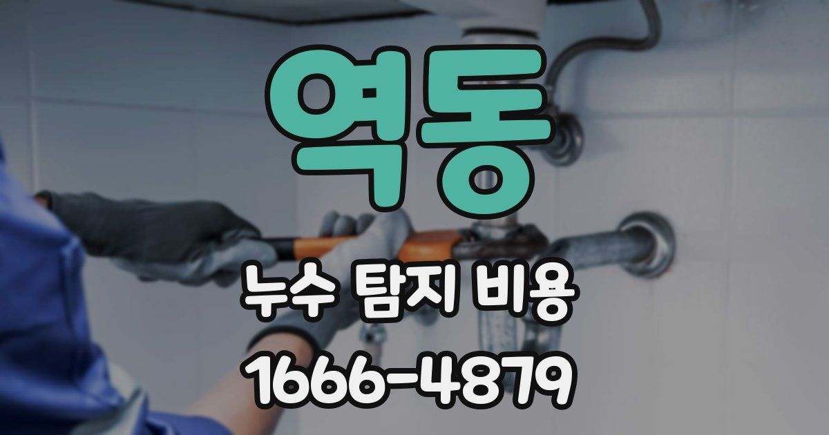 역동 누수 탐지 비용