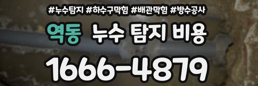 역동 누수 탐지 비용