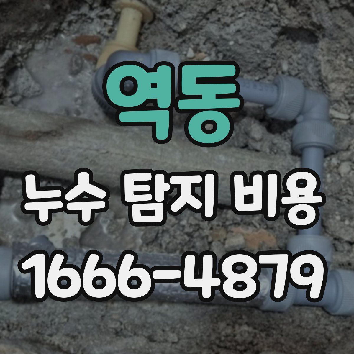 역동 누수 탐지 비용