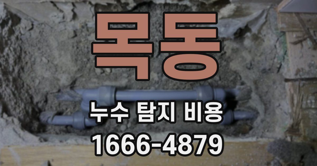 목동 누수 탐지 비용