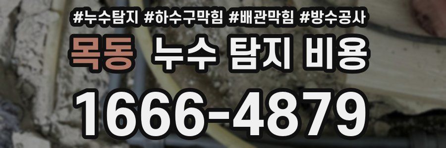 목동 누수 탐지 비용