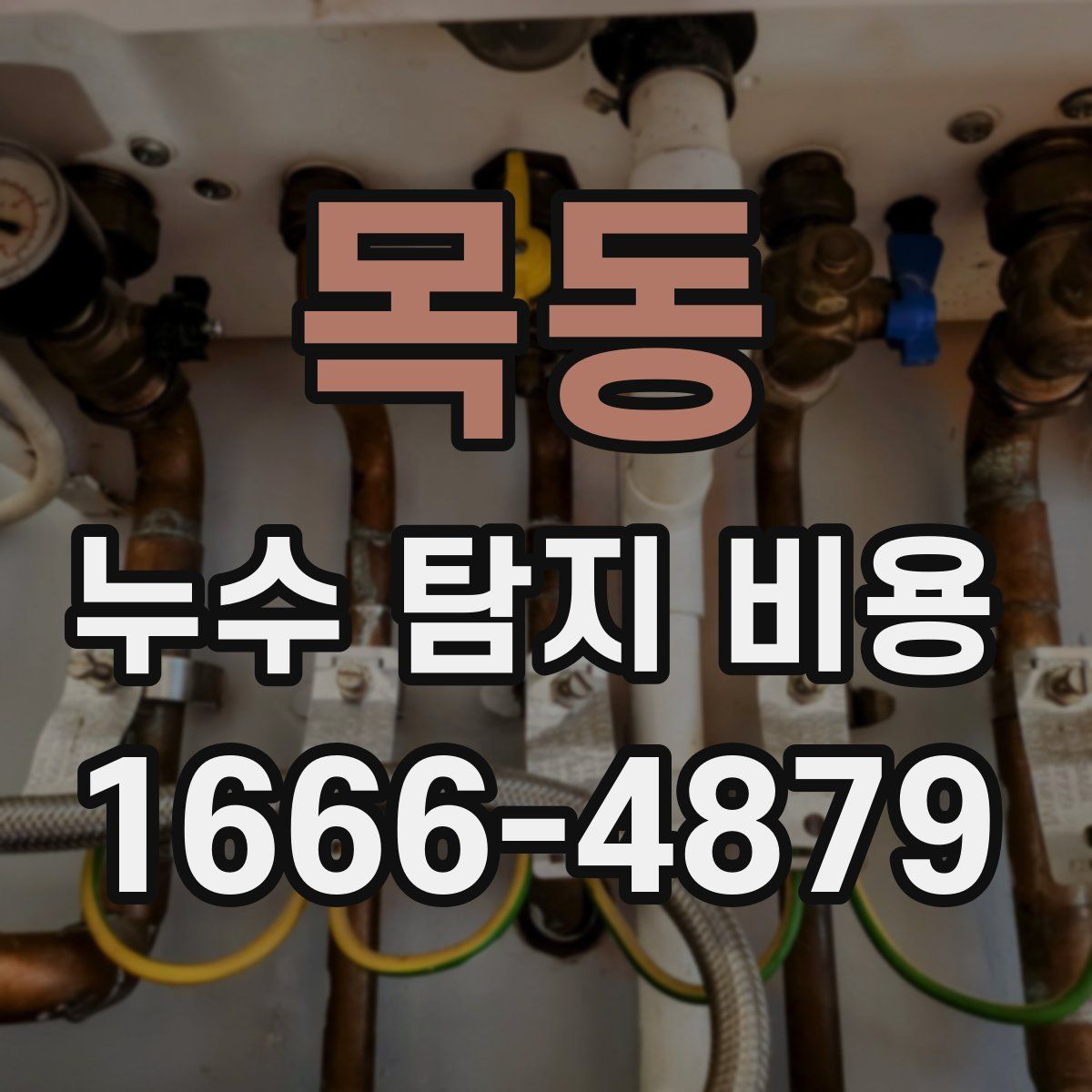 목동 누수 탐지 비용