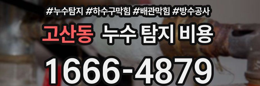 고산동 누수 탐지 비용