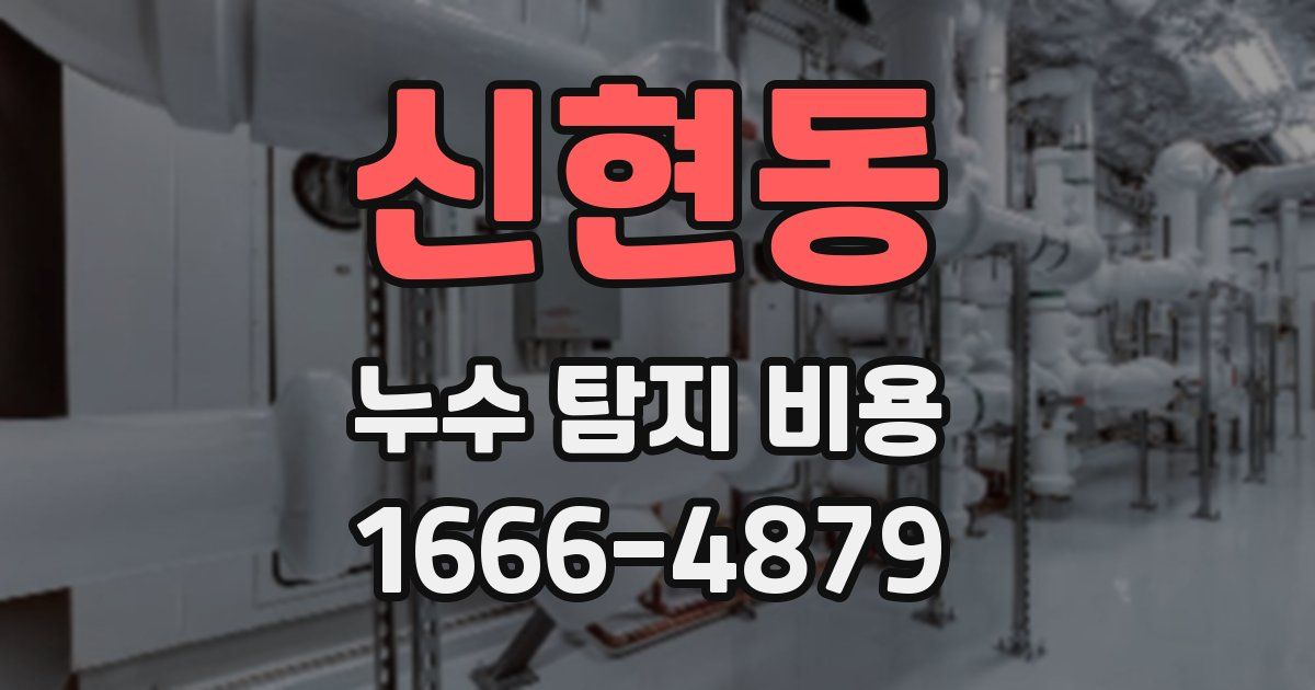 신현동 누수 탐지 비용
