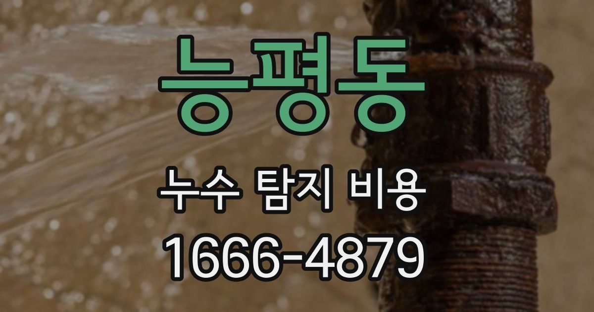 능평동 누수 탐지 비용